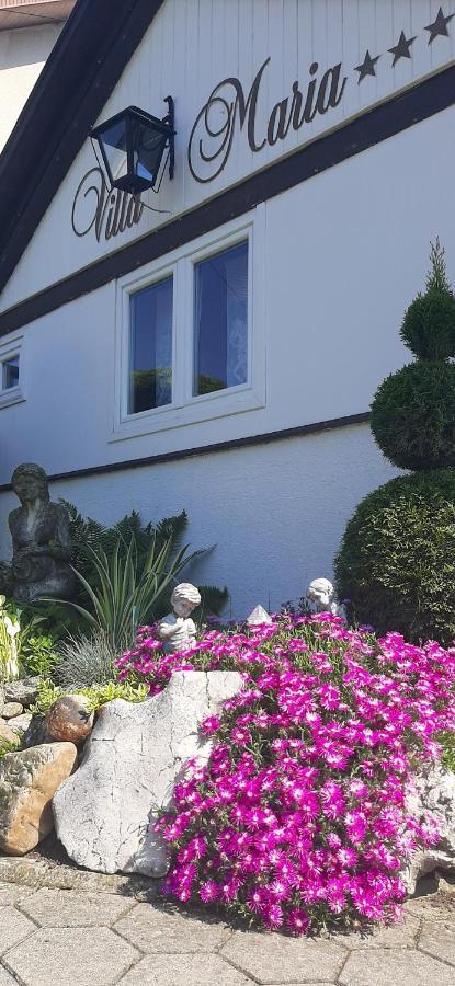 Villa Maria Pozega Zewnętrze zdjęcie